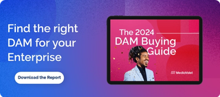 DAM Buying Guide CTA