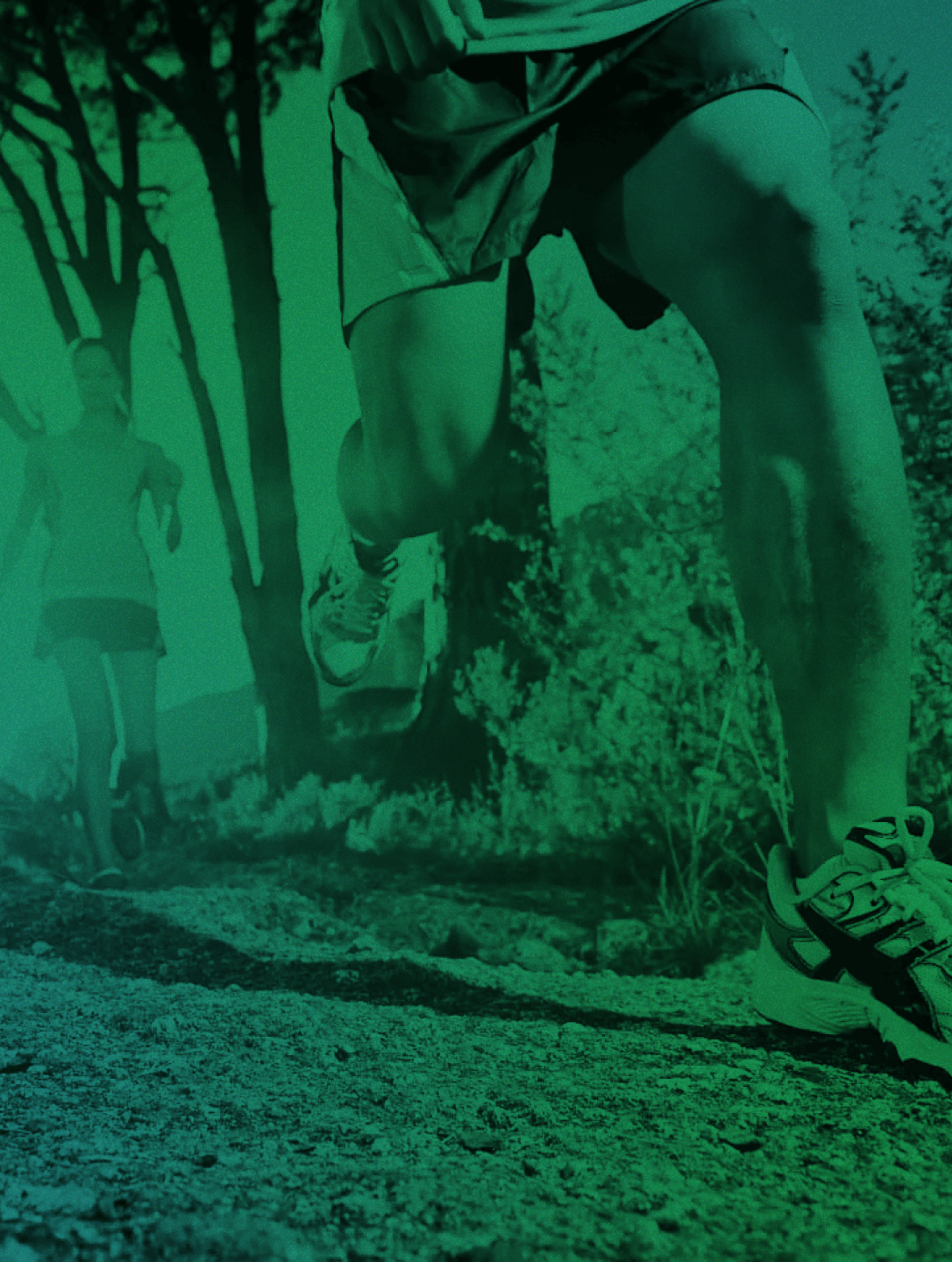 Dam Implementation Plan