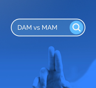 DAM vs MAM search bar