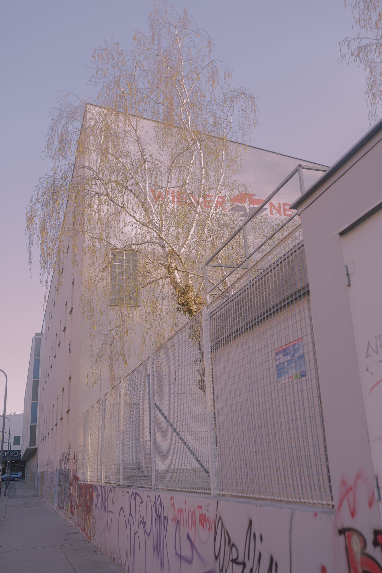 magic winer netz tree