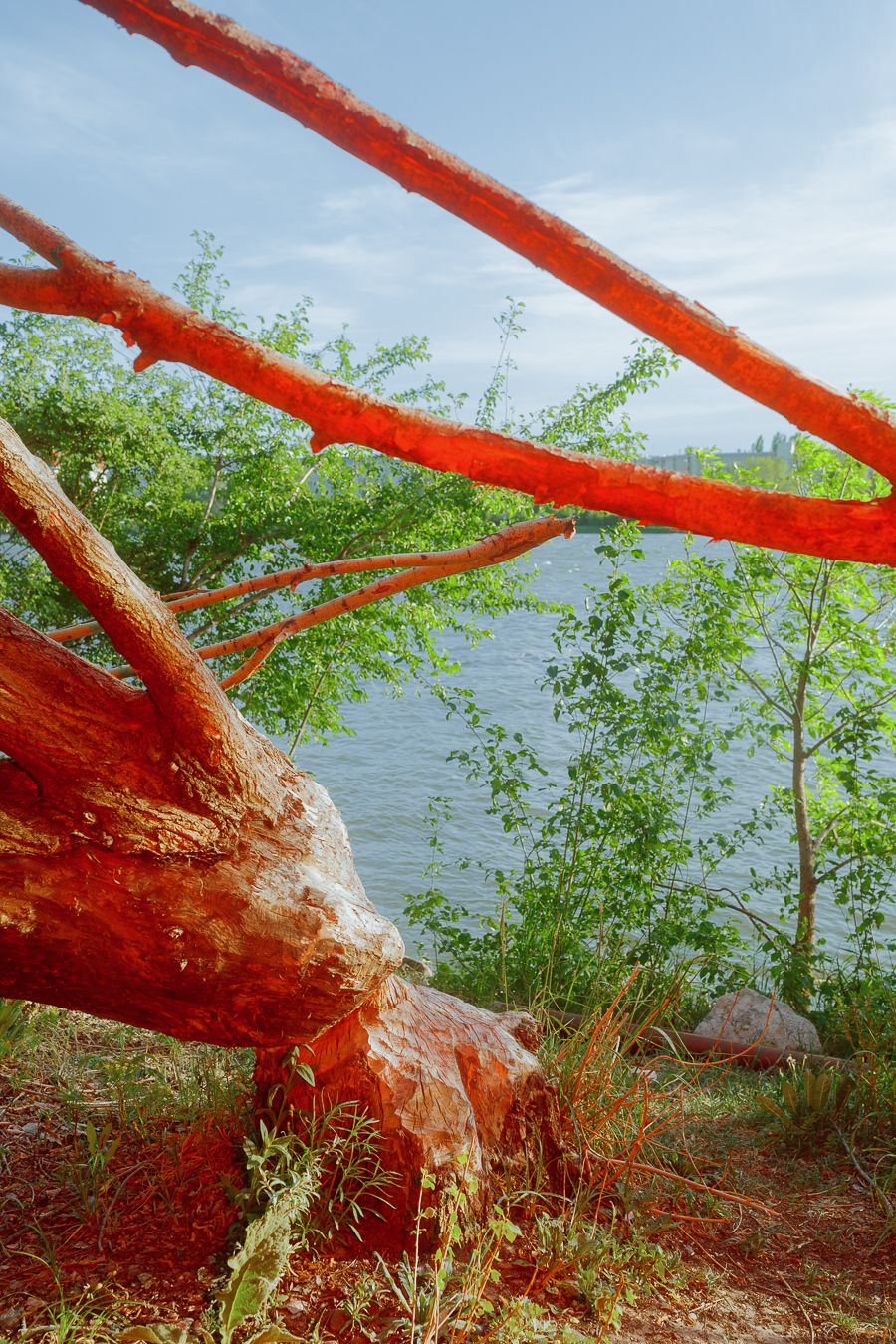 mahlzeit brudi biber