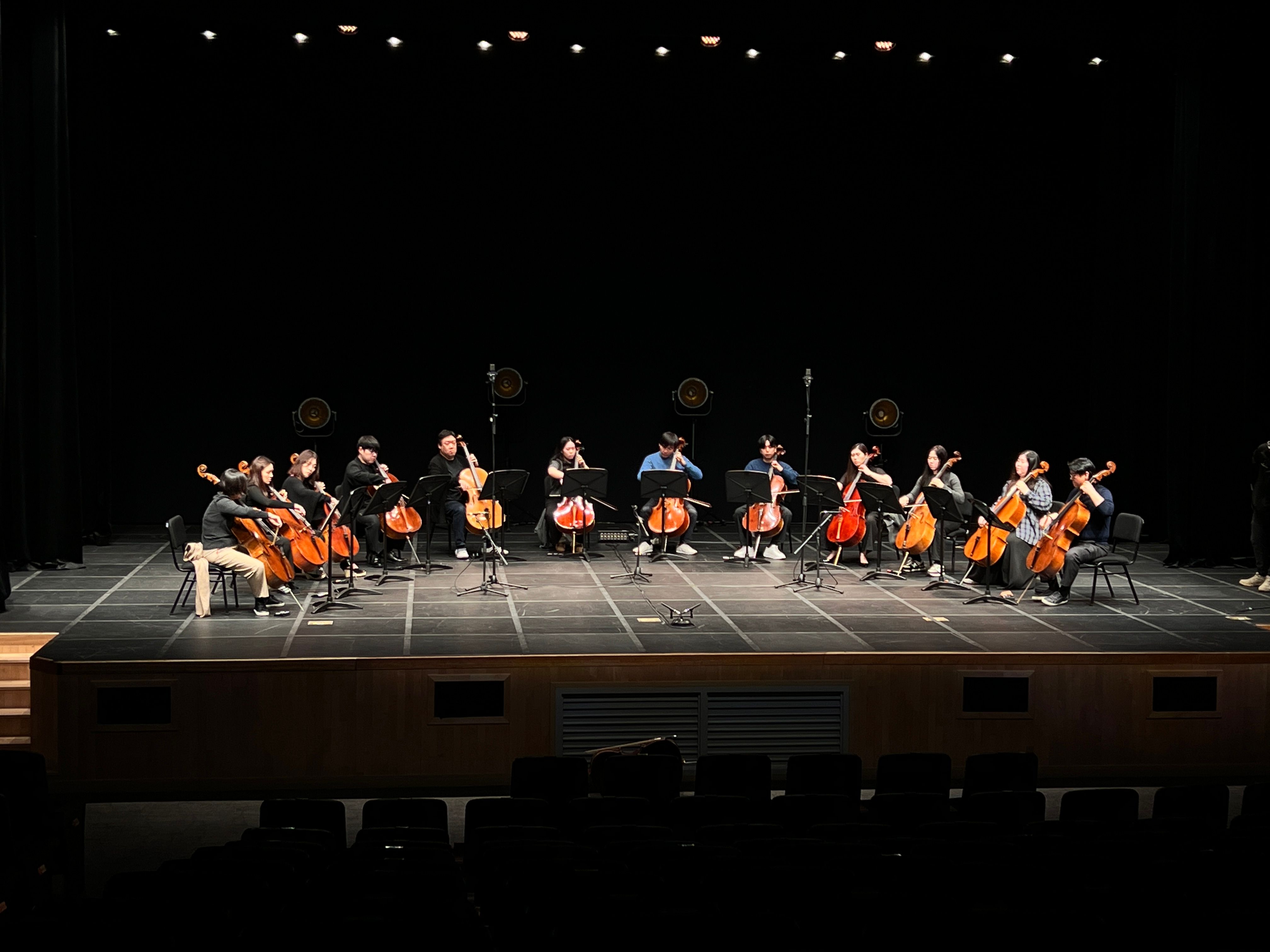12-cellos-concert