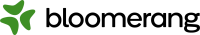 Bloomerang logo