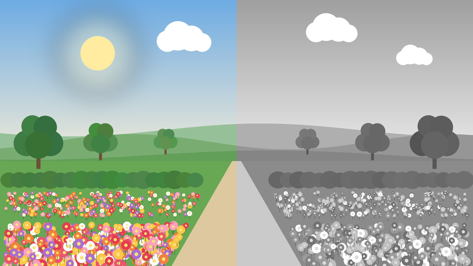 Ilustração de um jardim dividido ao meio: à esquerda, colorido, com sol, árvores e flores; à direita, o mesmo jardim em preto e branco, unido por um caminho central.