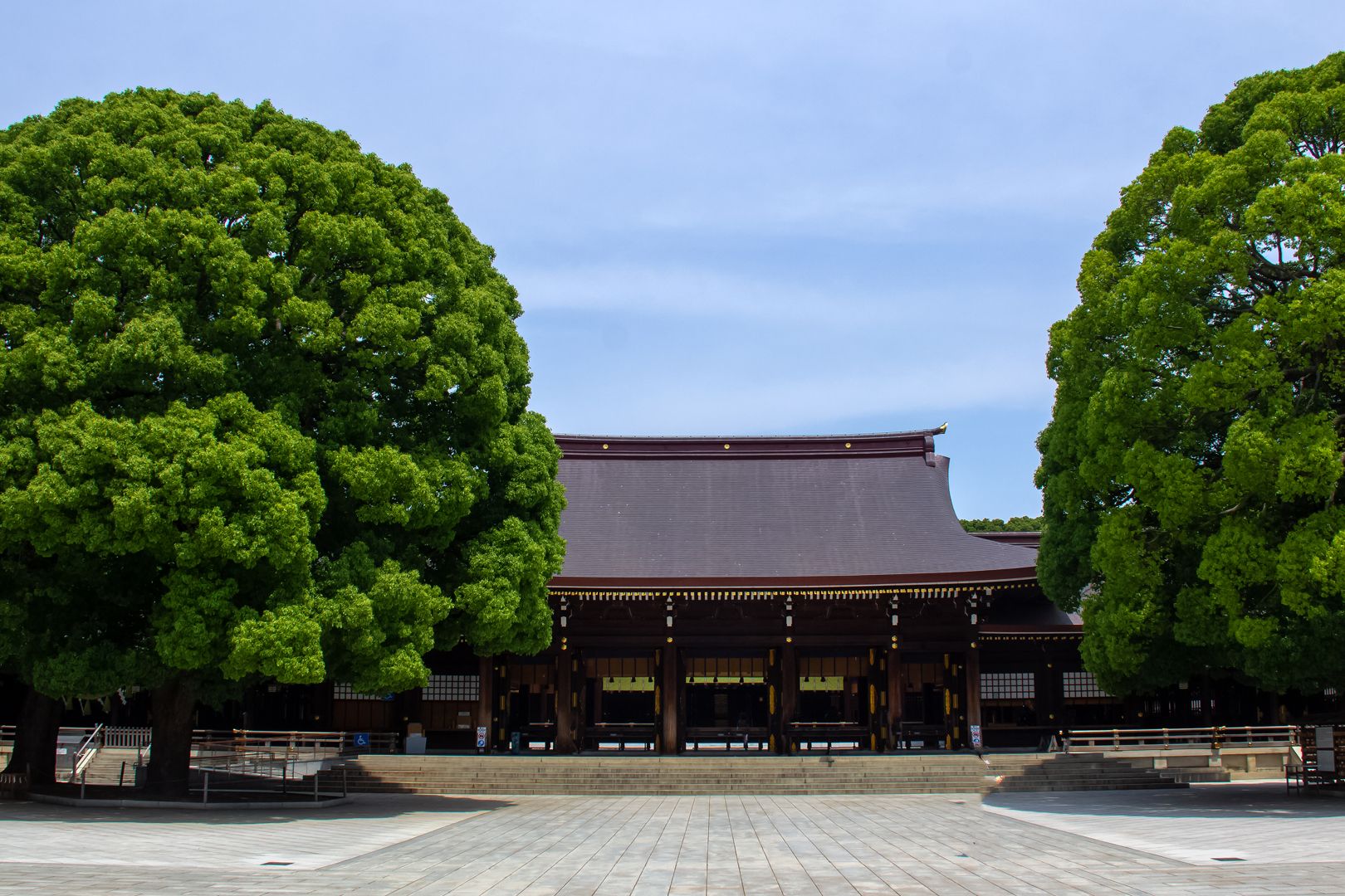 Image Meiji Shrine / Yoyogi Park #1