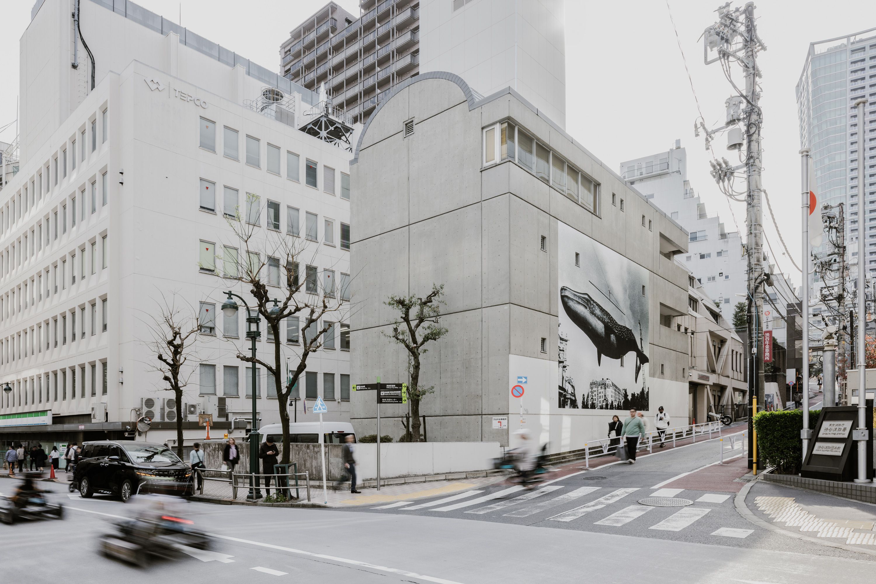 森山大道 - Untitled → 明治神宮・代々木公園 一帯 | シブヤ・アロー