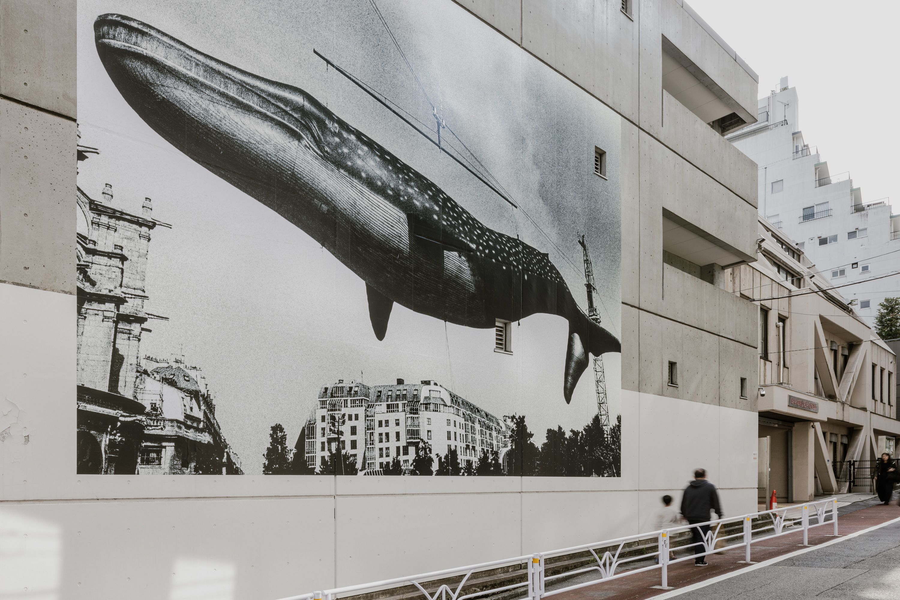 森山大道 - Untitled → 明治神宮・代々木公園 一帯 | シブヤ・アロー