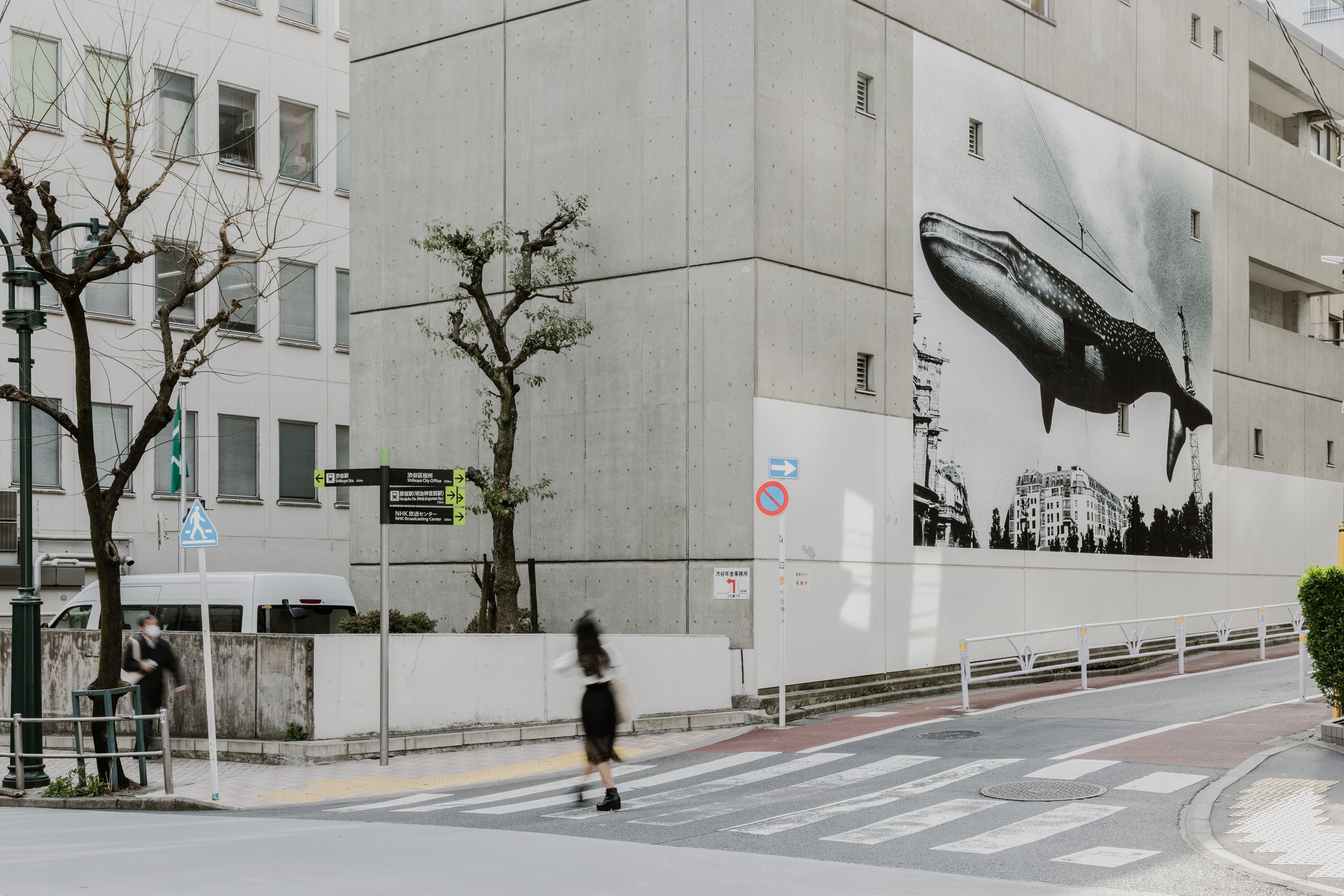 森山大道 - Untitled → 明治神宮・代々木公園 一帯 | シブヤ・アロー