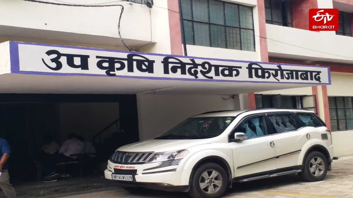 यूपी में पीएम फसल बीमा योजना की अंतिम तिथि बढ़ी, जानिए फिरोजाबाद में कौन-कौन सी फसलें हैं अधिसूचित