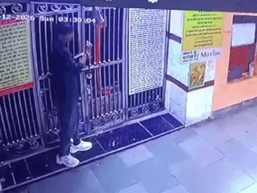 कोटा में मंदिर बना चोरों का निशाना, VIDEO: दानपेटी तोड़ नकदी ले उड़े बदमाश, जूते की दुकान का ताला भी तोड़ने की कोशिश - Kota News