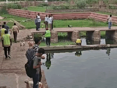 कोटा में कुंड-बावड़ियों की सफाई के लिए अभियान शुरू: अधिकारियों की देखरेख में शुरू हुआ काम, कंसुआ के कर्णेश्वर महादेव मंदिर के कुंड में हुई सफाई - Kota News