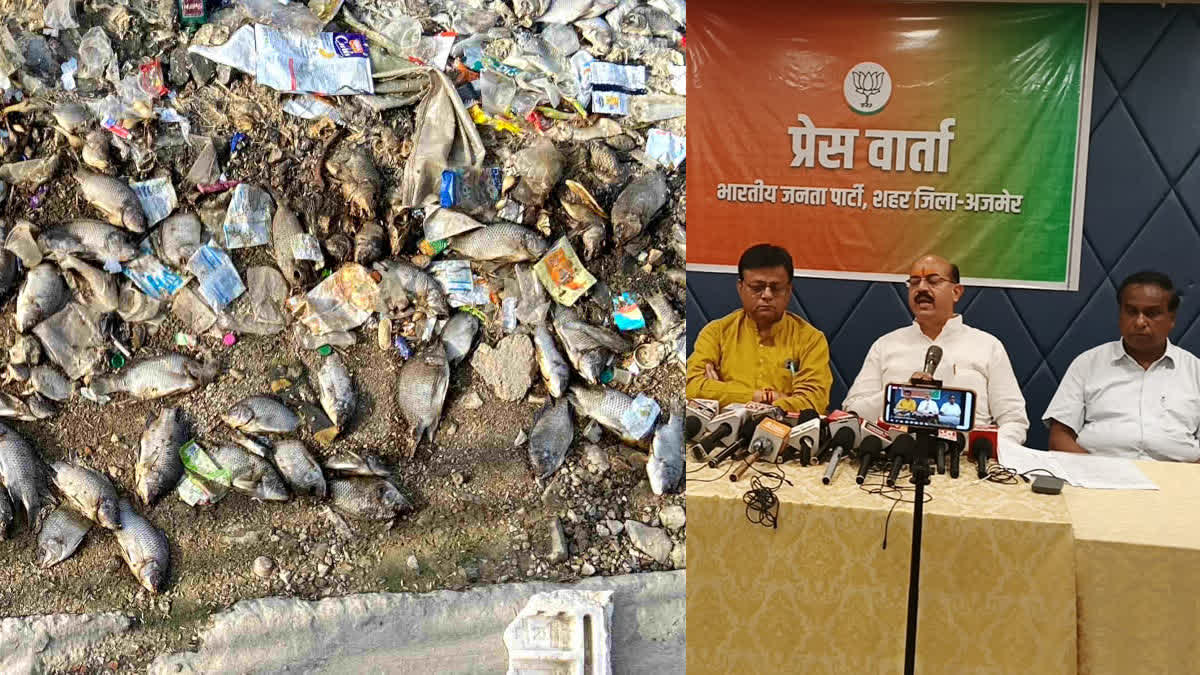 आनासागर झील की दुर्दशा पर भाजपा का जवाबी अभियान क्या है?