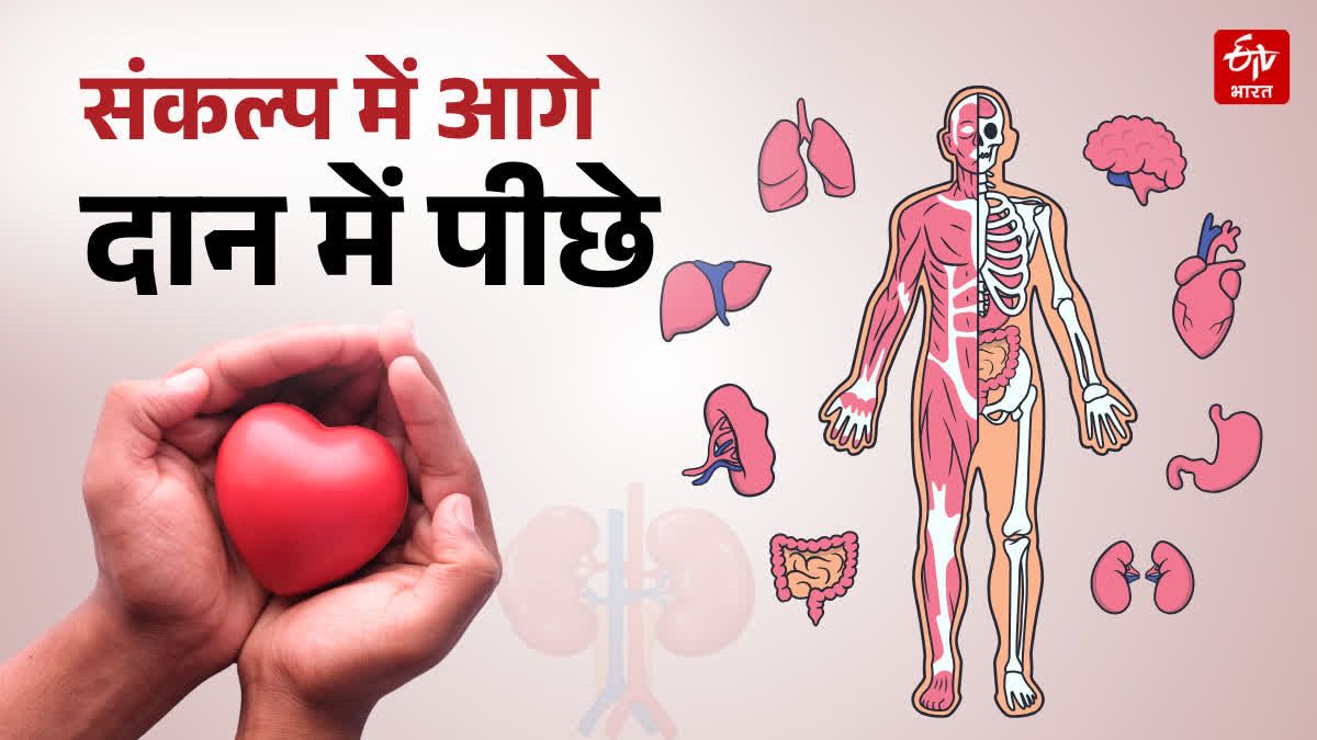 Organ Donation Day: राजस्थान संकल्प में आगे, लेकिन अंगदान में पीछे, जिंदगी के लिए कतार में हजारों मरीज