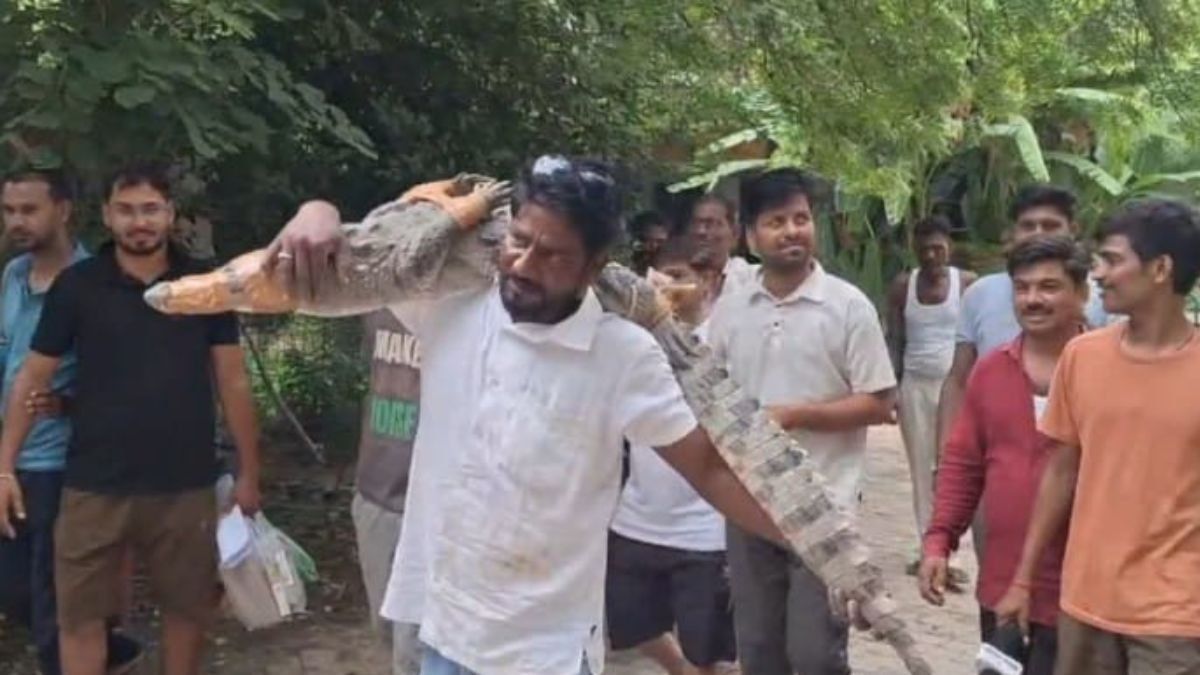 मगरमच्छ की असामान्य दोस्ती: राजस्थान के गांव में 5 फीट का मगरमच्छ पकड़कर बाइक पर बैठाया