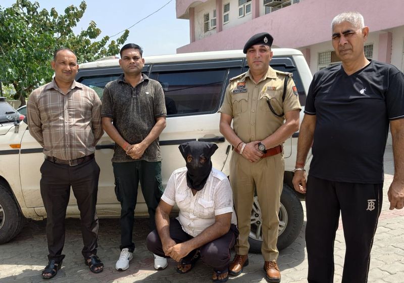 कैथल पुलिस ने 517 ग्राम मादक पदार्थ मामले में राजस्थान से अफीम आपूर्तिकर्ता को गिरफ्तार किया - द ट्रिब्यून
