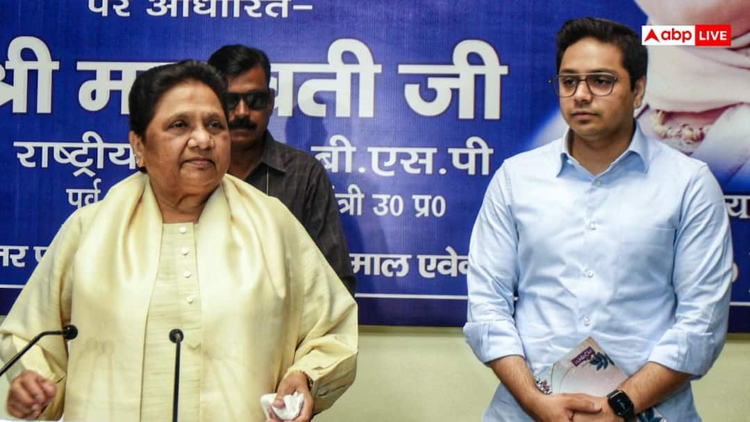 'आकाश आनंद के कद से कोई लेना देना नहीं...' यूपी चुनाव पर मायावती का बड़ा बयान