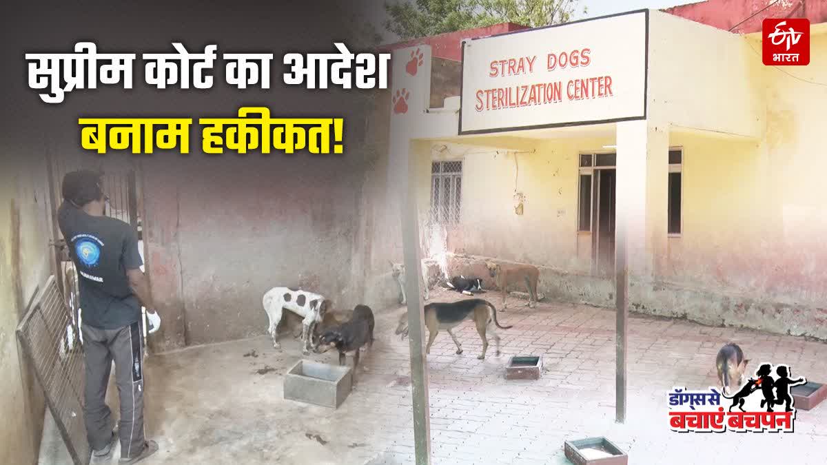 ETV भारत का ग्राउंड रियलिटी चेक : जयपुर का डॉग शेल्टर कितना तैयार, कितना अधूरा?
