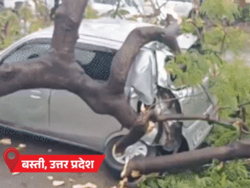 यूपी में आंधी-बारिश से पेड़-पोल उखड़े, कार पर गिरे: एमपी में बिजली, पंजाब में पेड़ गिरने से 2 मौतें, मानसून 48 घंटे में मुंबई पहुंचेगा