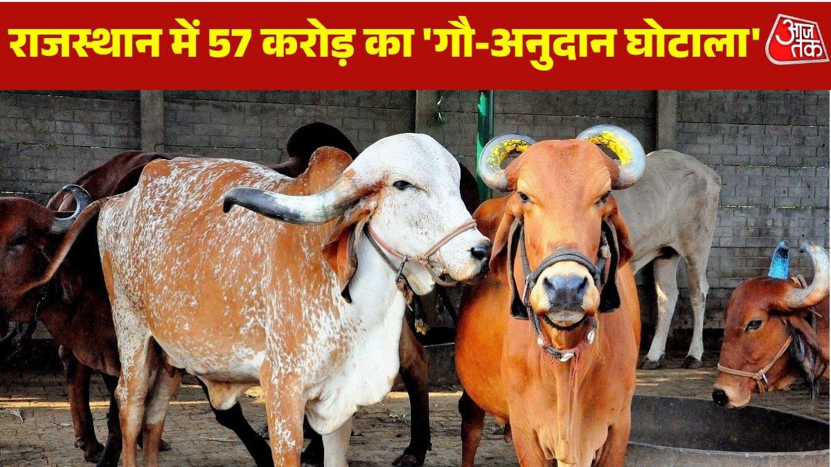 राजस्थान में गौ-अनुदान घोटाला: मरी हुई गायों पर भी अरबों रुपये की डकार