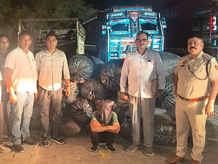 हिसार पुलिस ने 550 किलो डोडापोस्त पकड़ा: कोयले की आड़ में राजस्थान से लाई गई खेप; ड्राइवर गिरफ्तार - Hisar News