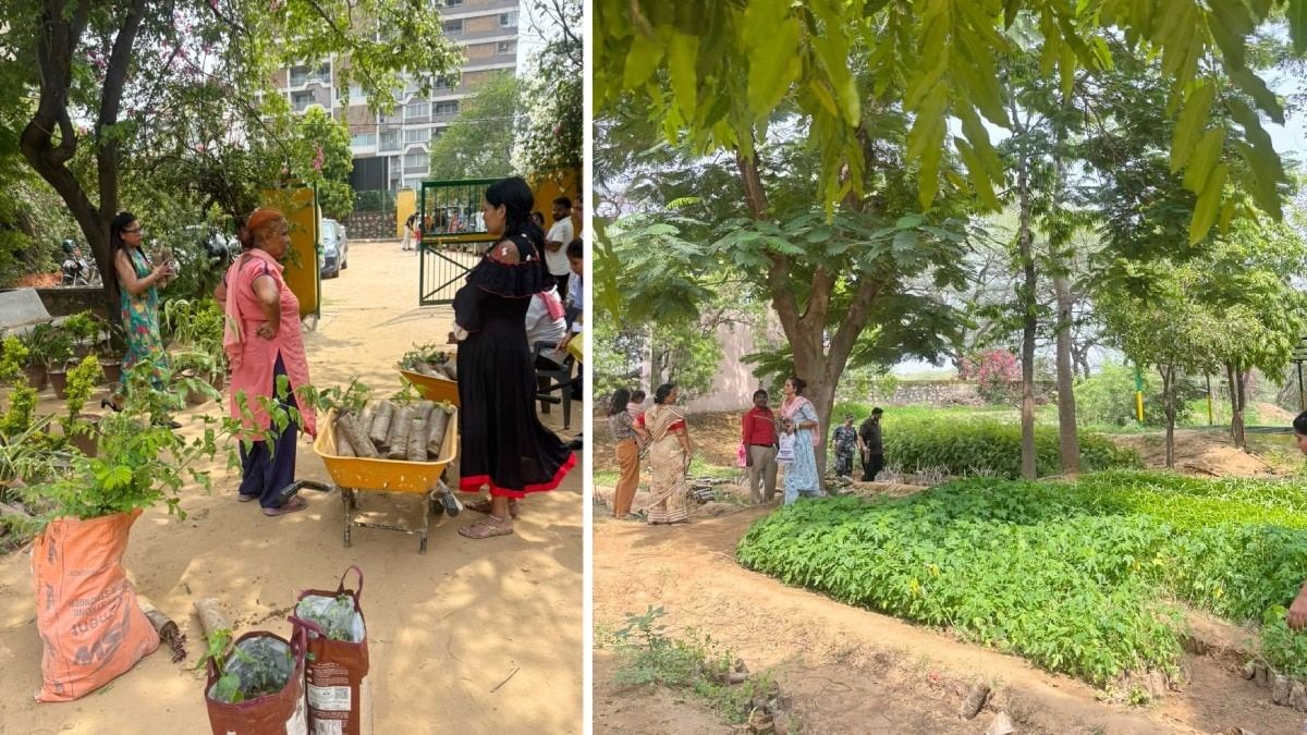 ₹5 से ₹10 में मिल रहे हैं मनपसंद पौधे... सरकारी नर्सरियों में उमड़ी भारी भीड़, घर बैठे ऑनलाइन ऐसे बुक करें