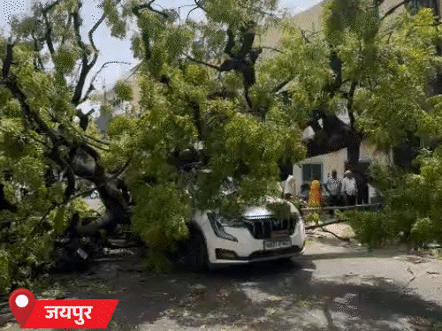 राजस्थान के 12 जिलों में आंधी-बारिश का अलर्ट: तेज बरसात के साथ ओले गिरने की भी आशंका; जयपुर में पेड़ गिरा, गाड़ियां दबी - Jaipur News