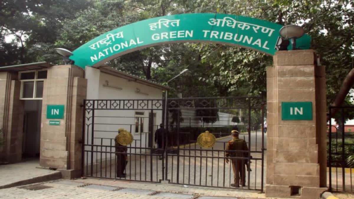 रायपुर, जयपुर और मुंबई के स्टेडियम में नहीं होंगे क्रिकेट मैच, NGT ने लगाई रोक