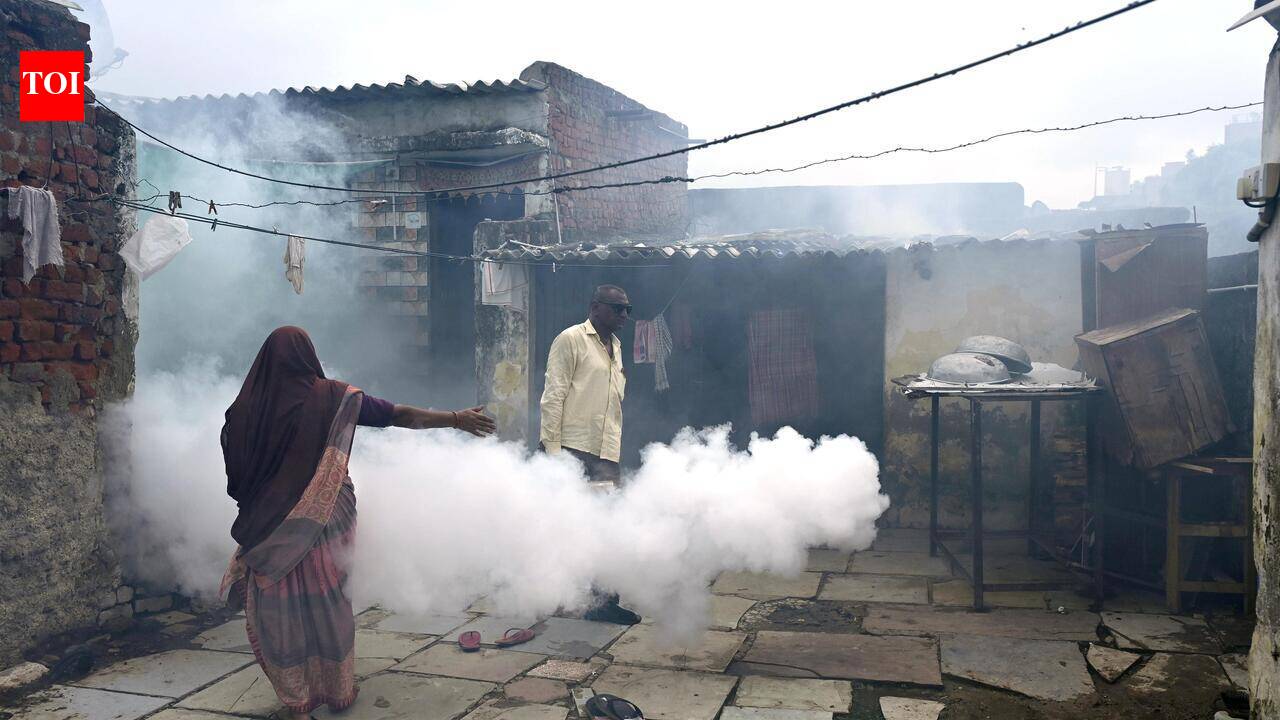 राजस्थान में चांदीपुरा वायरस संक्रमण का डर, दो लड़कियों की मौत