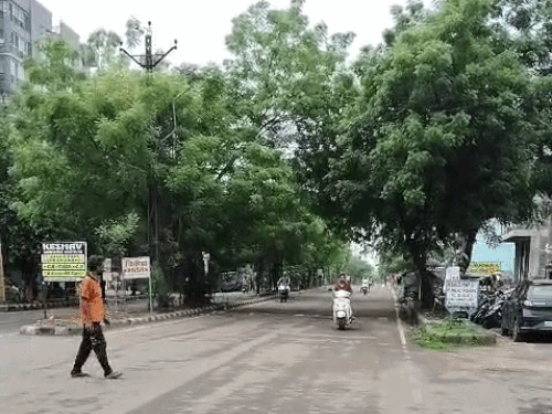 कोटा में 3 दिन बारिश का अलर्ट: 24 घंटे में 3.8 एमएम बारिश; जानिए- बांधों में कितना पानी आया - Kota News