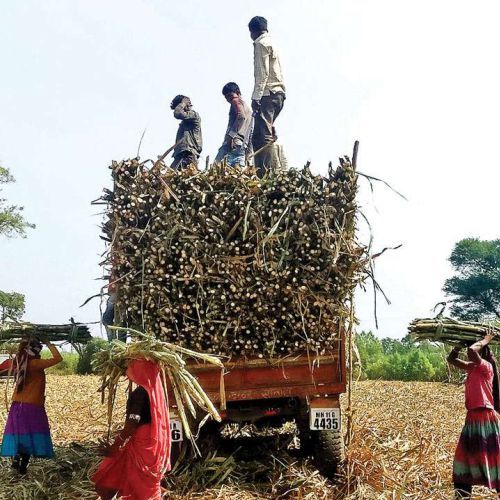 उत्तर प्रदेश : भाकियू (लोकहित) पंचायत में पेराई सत्र 2026-27 के लिए ₹500 प्रति क्विंटल गन्ना मूल्य करने की मांग तेज - ChiniMandi