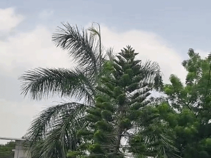 उदयपुर में दिनभर बादल छाए, लेकिन बारिश नहीं हुई: तापमान में 1 डिग्री सेल्सियस की गिरावट, जानिए अगले सप्ताह कैसा रहेगा मौसम - Udaipur News