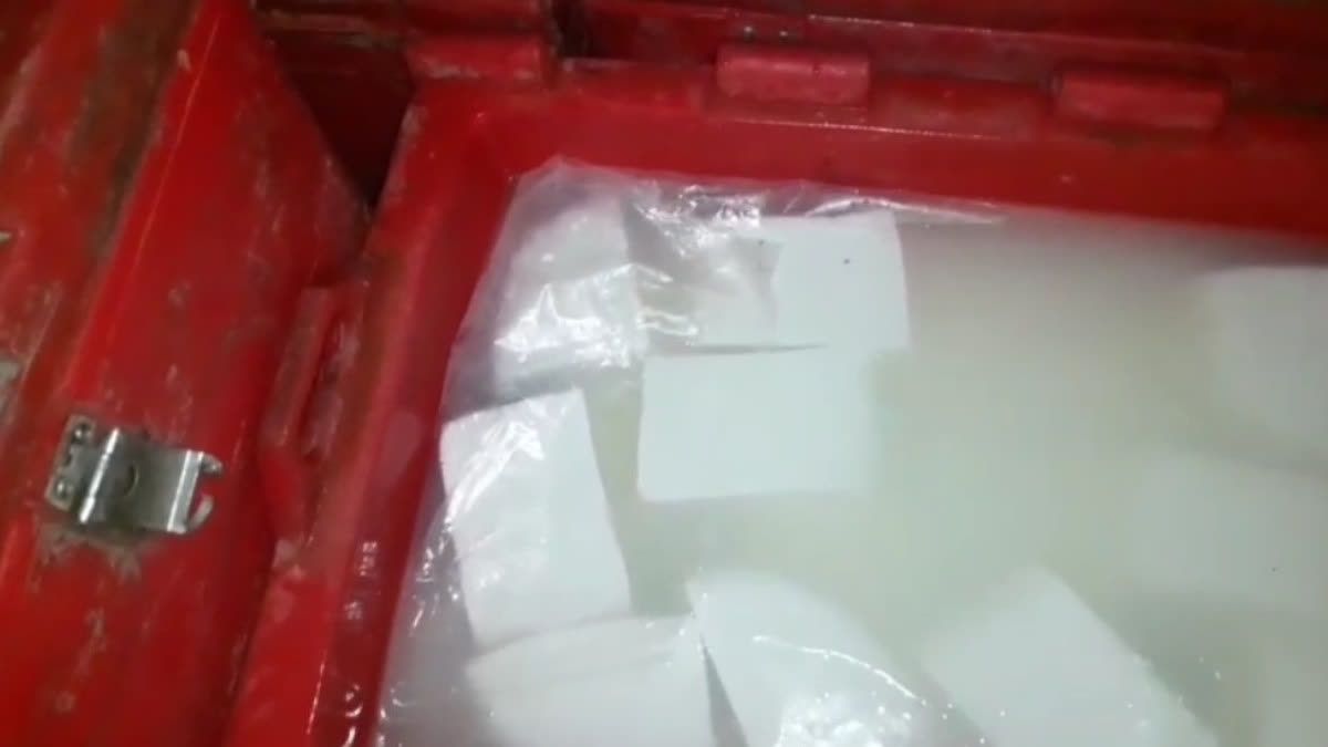 अलवर से जयपुर लाई जा रही 420 किलो घटिया पनीर की खेप पकड़ी, 419 किलो पनीर मौके पर नष्ट