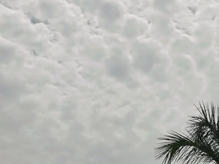 उदयपुर में गर्मी और उमस से लोग परेशान: पर्यटन स्थलों पर भी कम पहुंच रहे टूरिस्ट, दिन का तापमान 34 डिग्री; किसानों की चिंता बढ़ी - Udaipur News