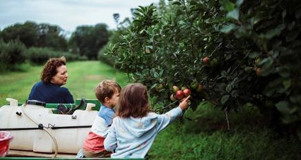 Électricité générale et solutions connectées