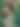 Blurred placeholder image