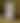 Blurred placeholder image