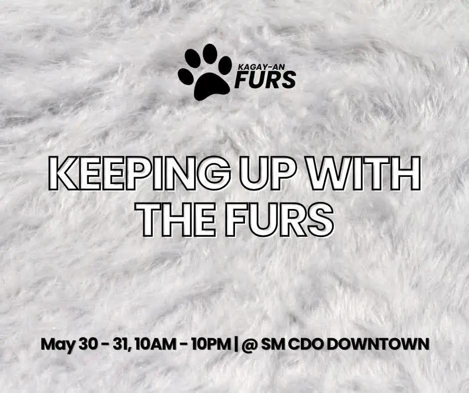 Keeping Up With The Furs
