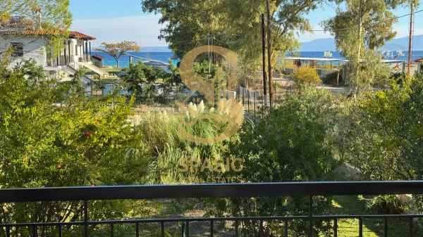 Pefkohori apartment 55 m2