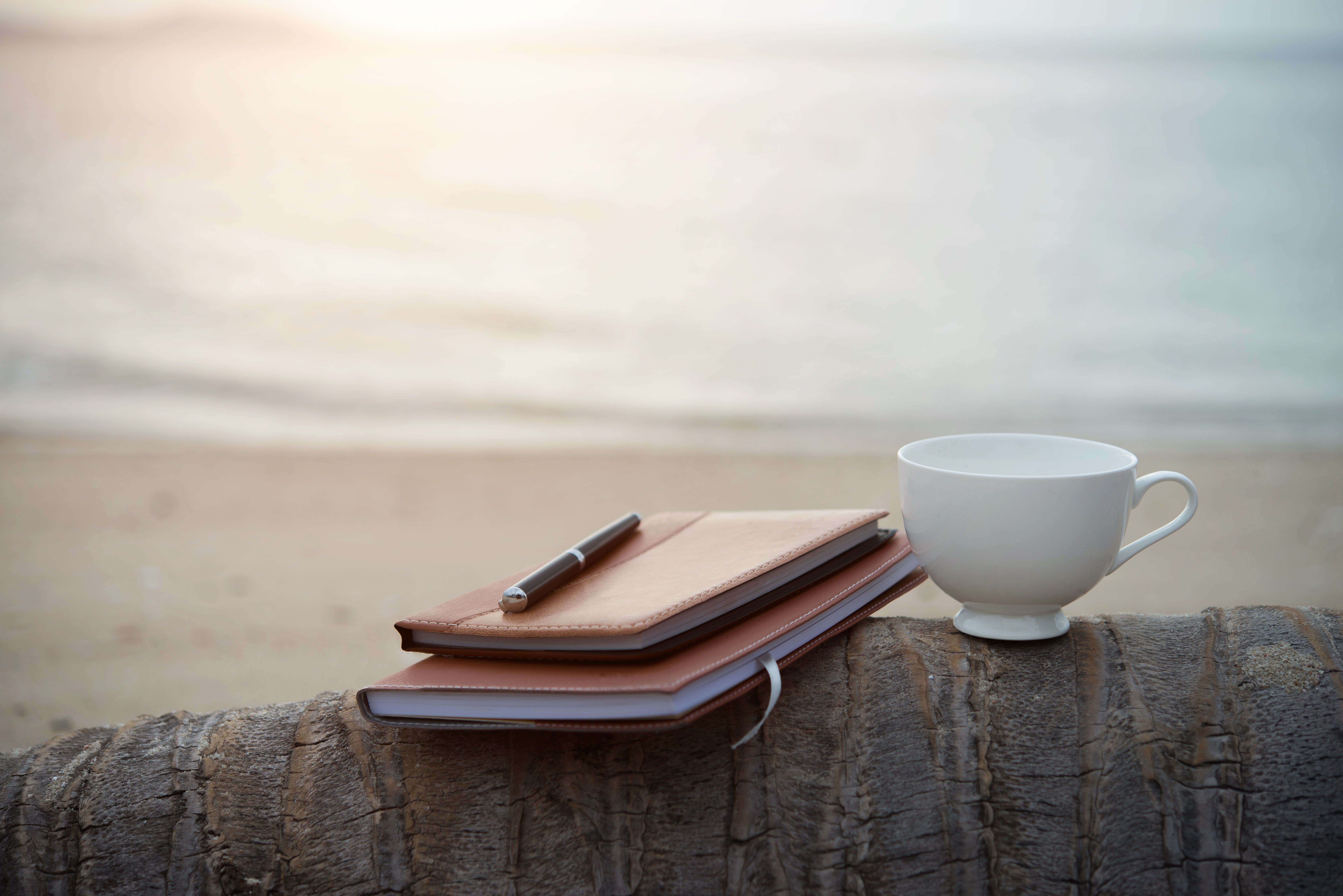 Costa Rica Vacation Rental Management Fees & Net Income