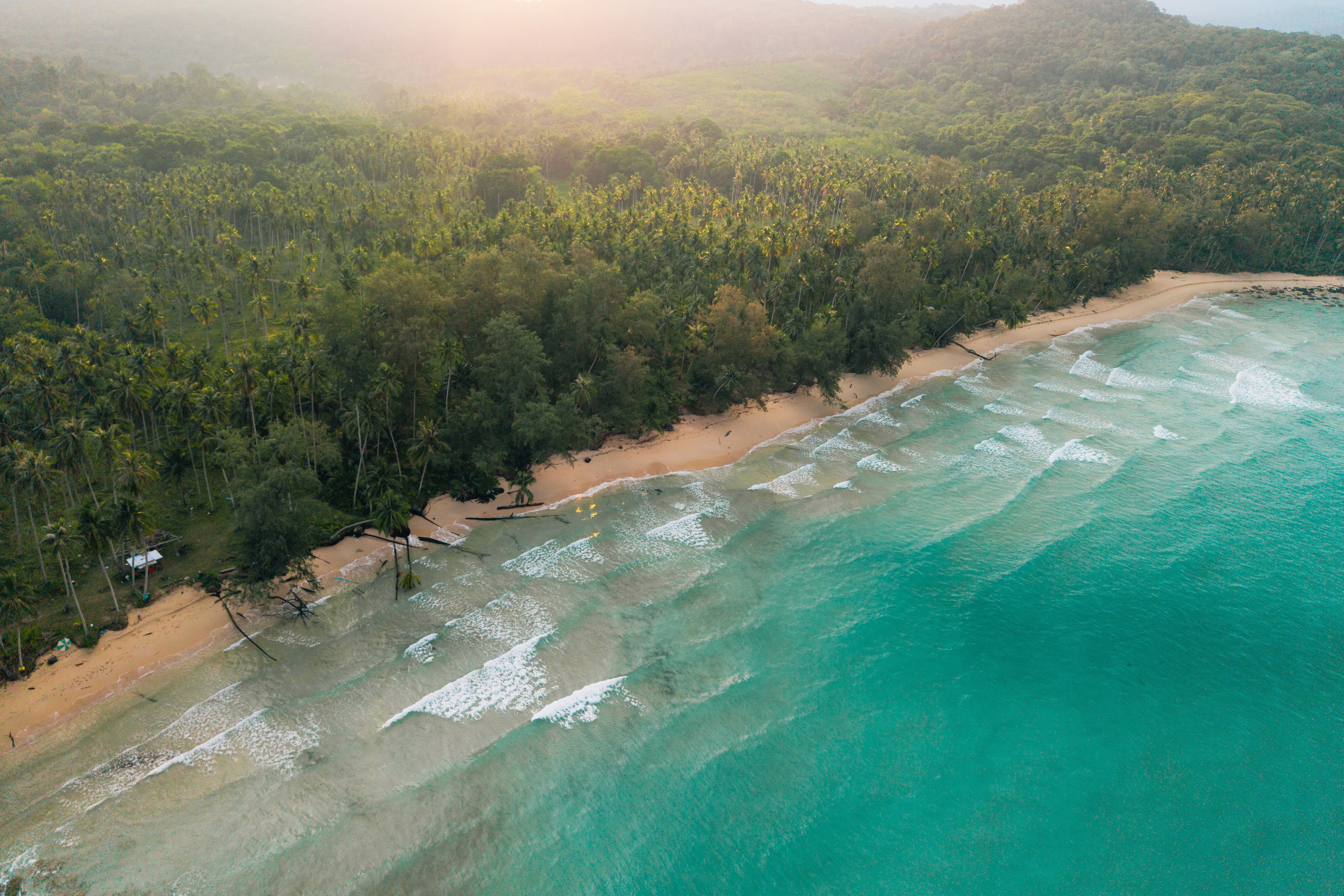 Best Surf Breaks on Costa Rica's Gold Coast | A Guide to Playa Negra, Nosara, and Beyond