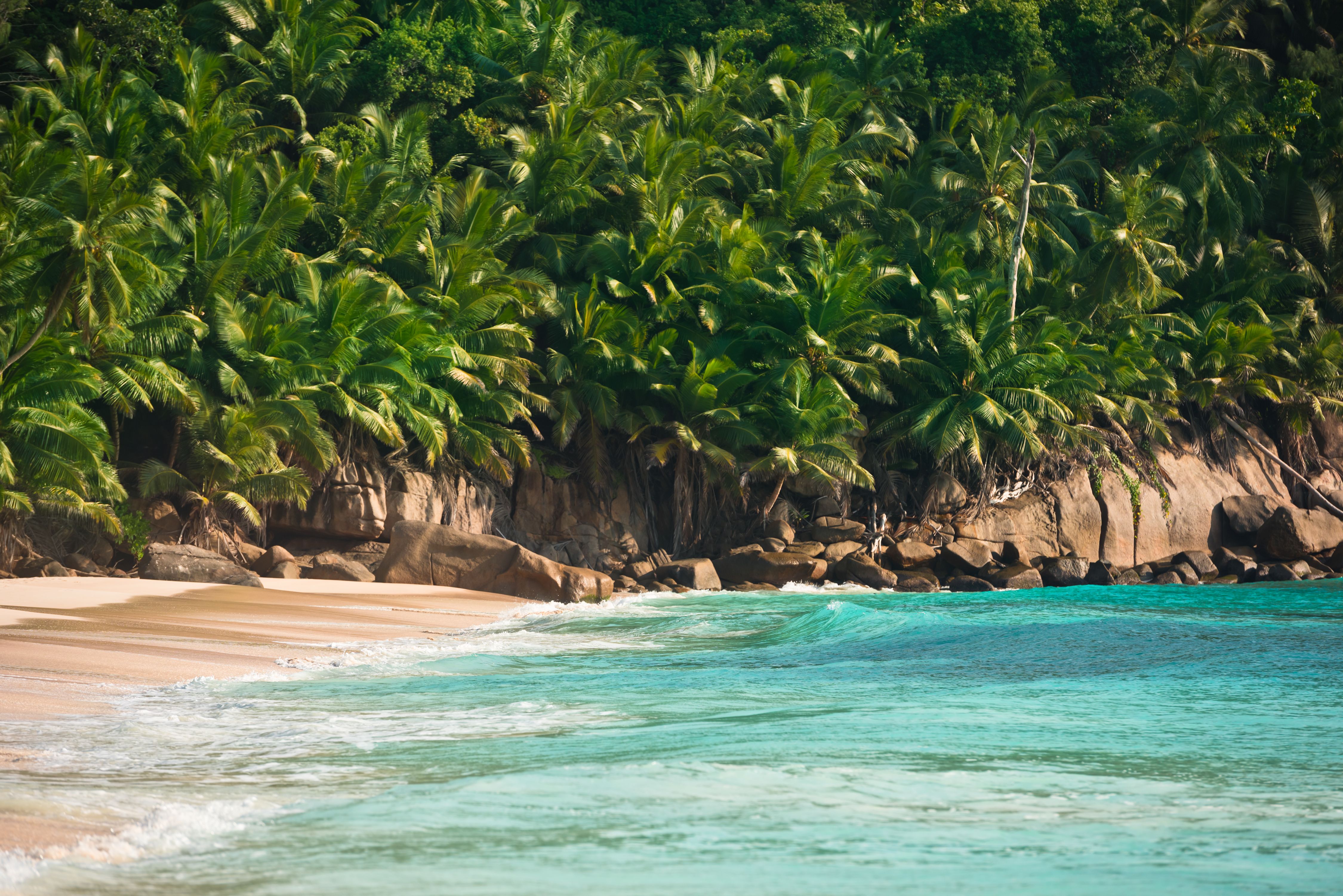 7 Ways Branded Residences Fit Playa Negra Living