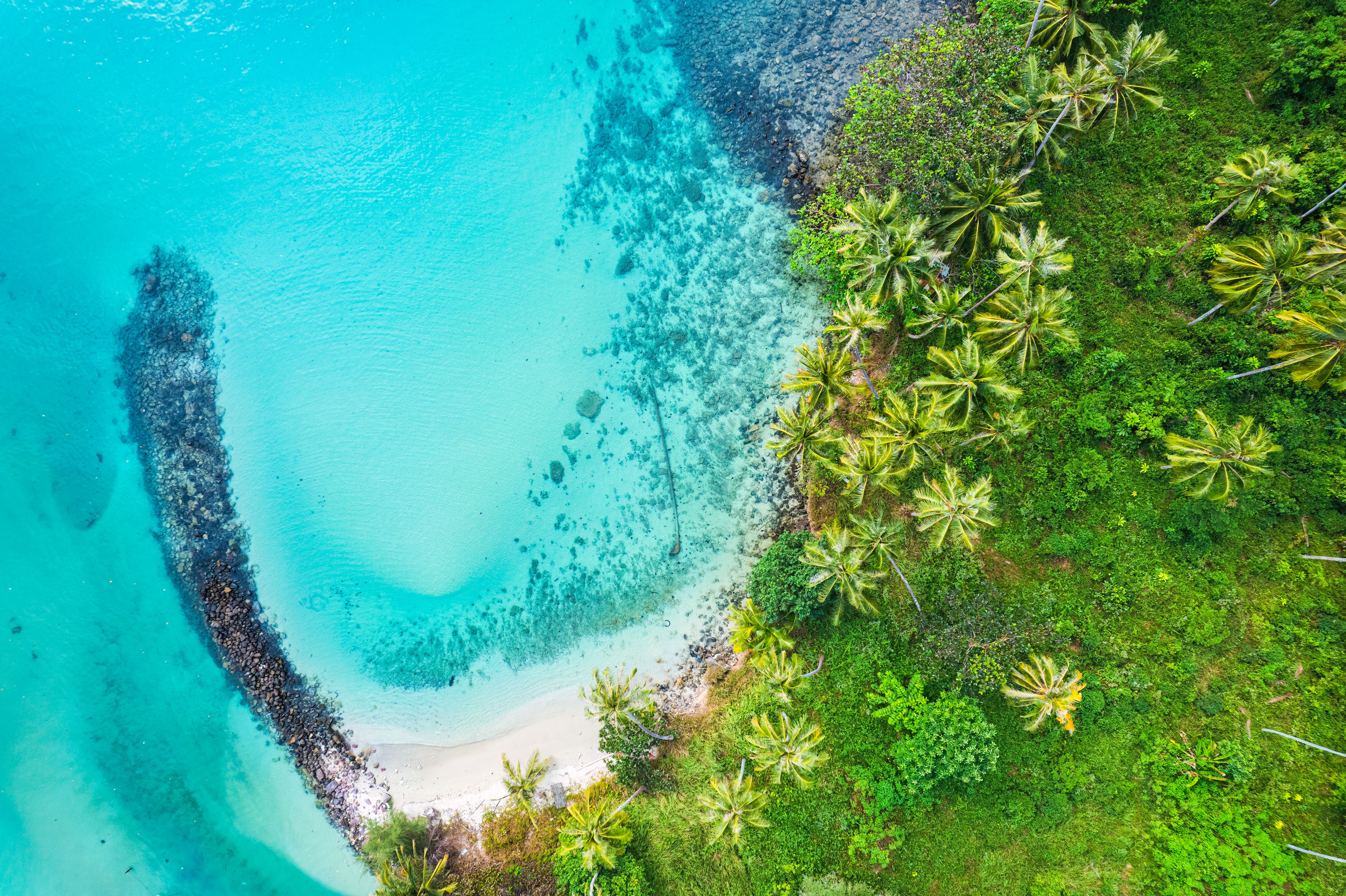 Costa Rica Blue Zone: Why Nicoya Lives Longer (2026 Guide)