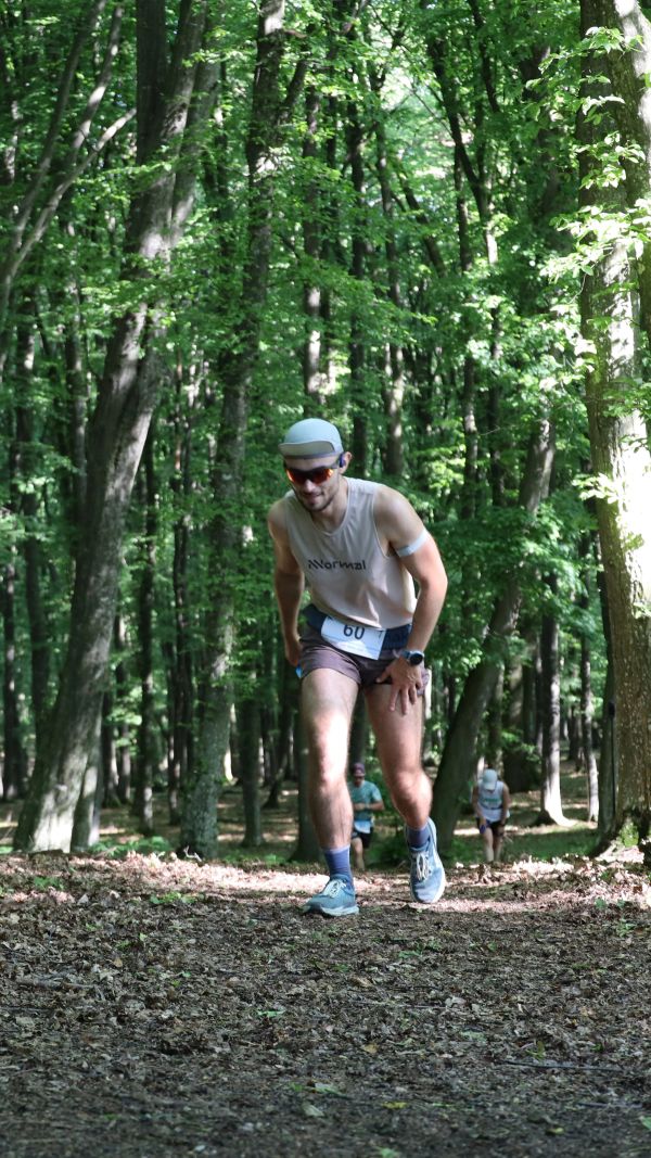 Imagine 51