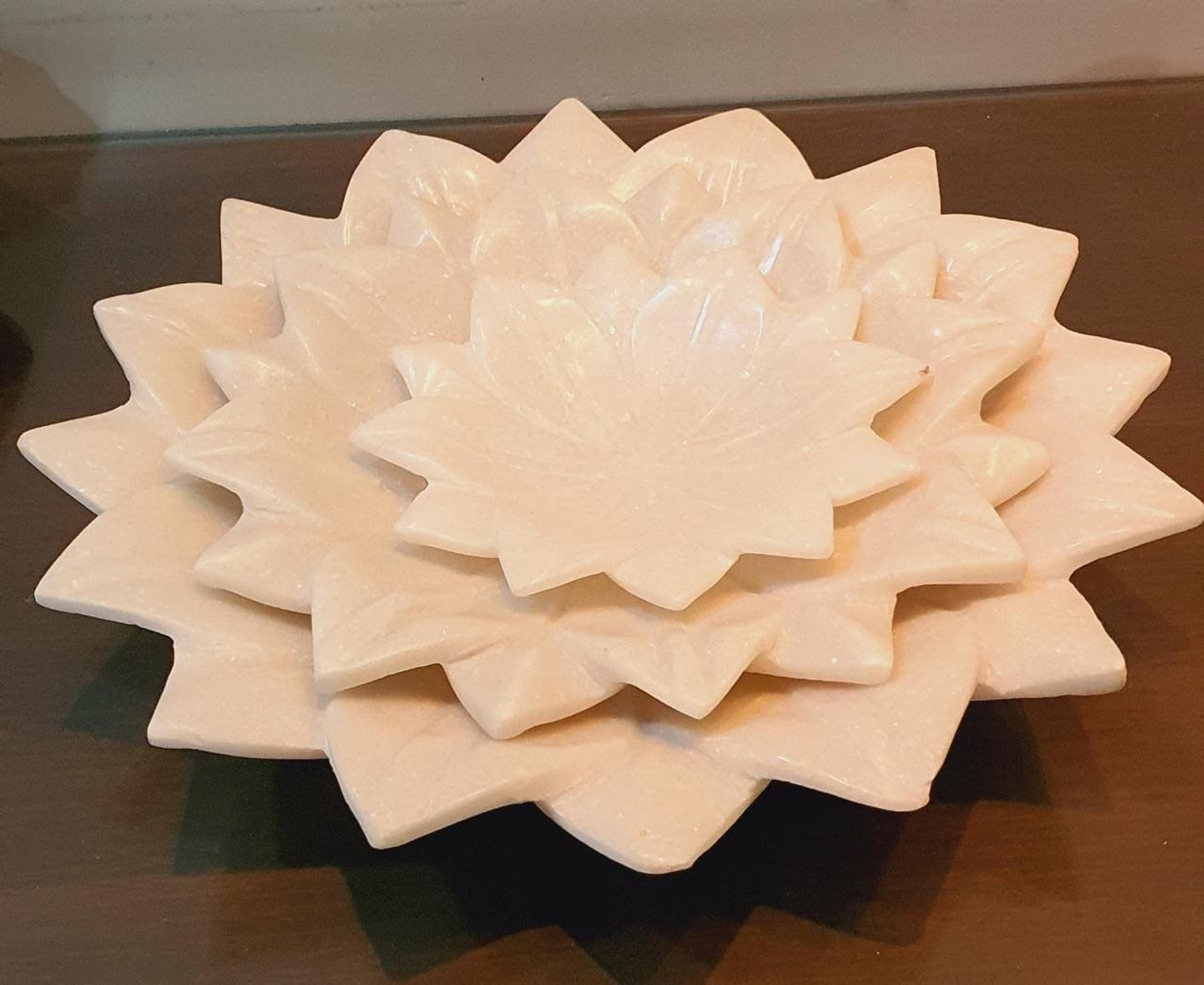 White lotus urlis