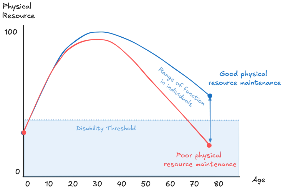 Physical resources follow a typical trajectory across a lifetime but there is meaningful variation within this trajectory. Some of this variation comes down to adjustable factors like sleep, nutrition and exercise that an individual can control to reach their genetic ceiling.