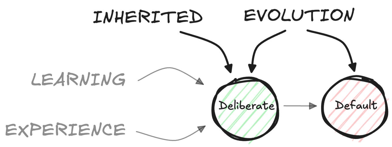 Misconcepts are initially encoded by evolution and inherited from the environment we grow up in, but we can improve our misconcepts through learning and experience.