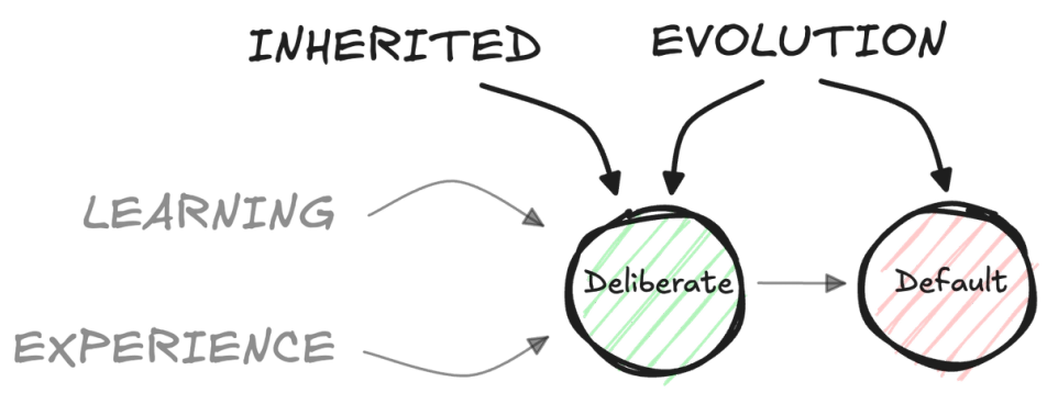 Your initial misconcepts set comes from evolution and inheritance.