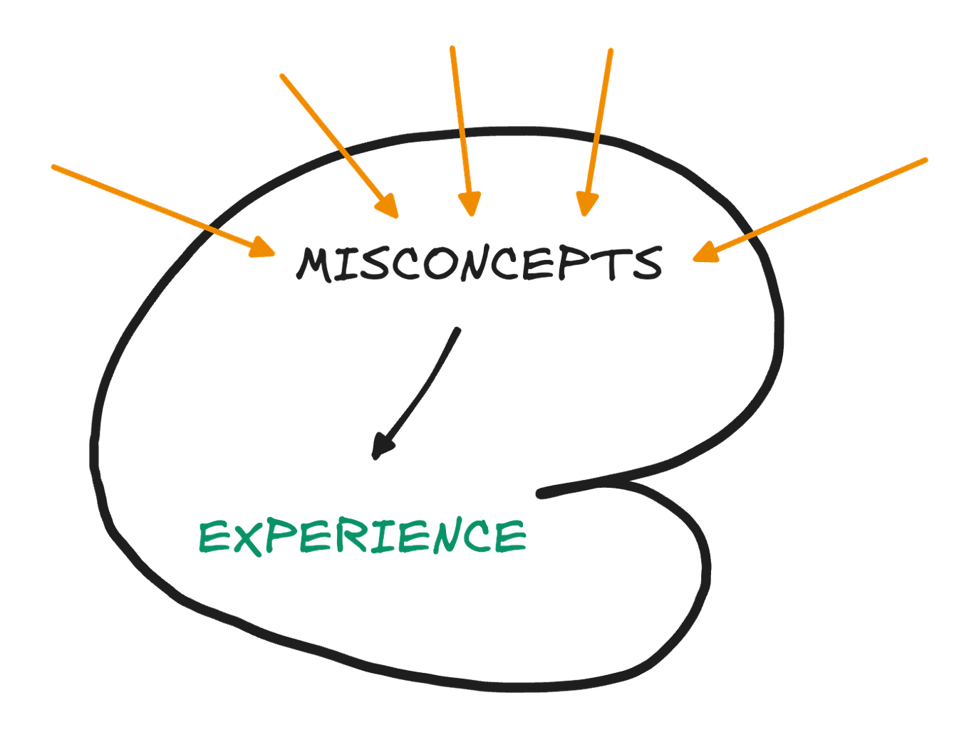 Our internal experience is constructed by our brain from the misconcepts it uses to interpret the nerve impulses it receives.