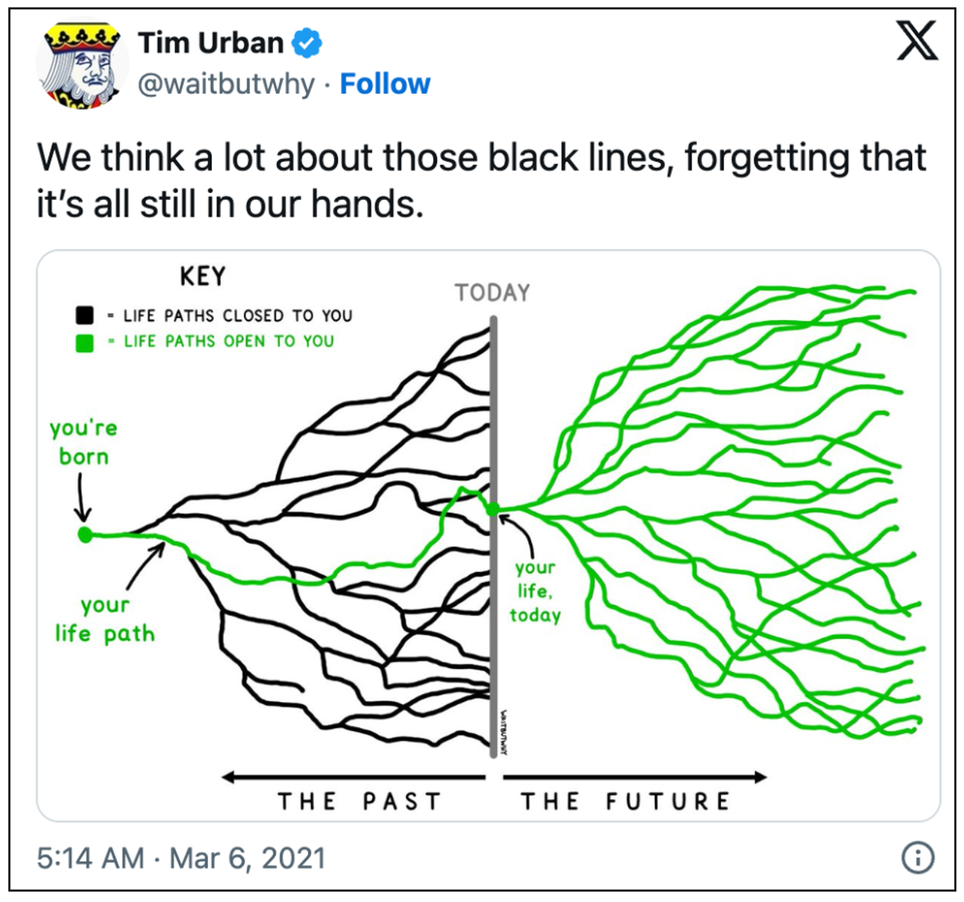 Tim Urban's life paths illustration, published 6th march 2021 on X. On the left is the past and the black lines representing the life paths now closed to you. On the right is the future, representing all the life paths still open to you.
