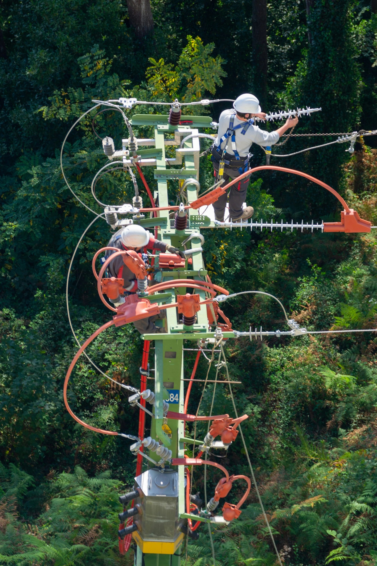 Everything Electrical Sydney - Services